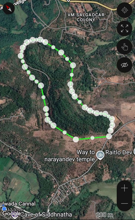 सुर्ला वृक्षतोडीचे गूढ उकलले