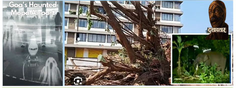 ‘दशावतार’ : पर्यावरण आणि संस्कृतीचा जागर