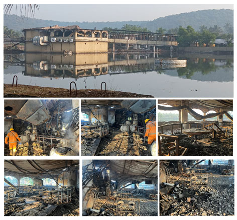 शु… शु… शु…!