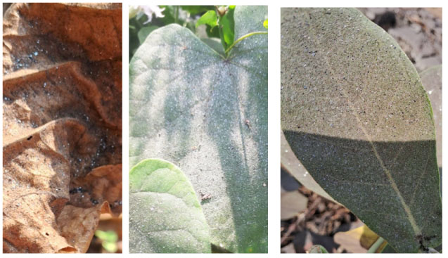 मुख्यमंत्र्यांच्या मतदारसंघात लोकांची ‘घुसमट’