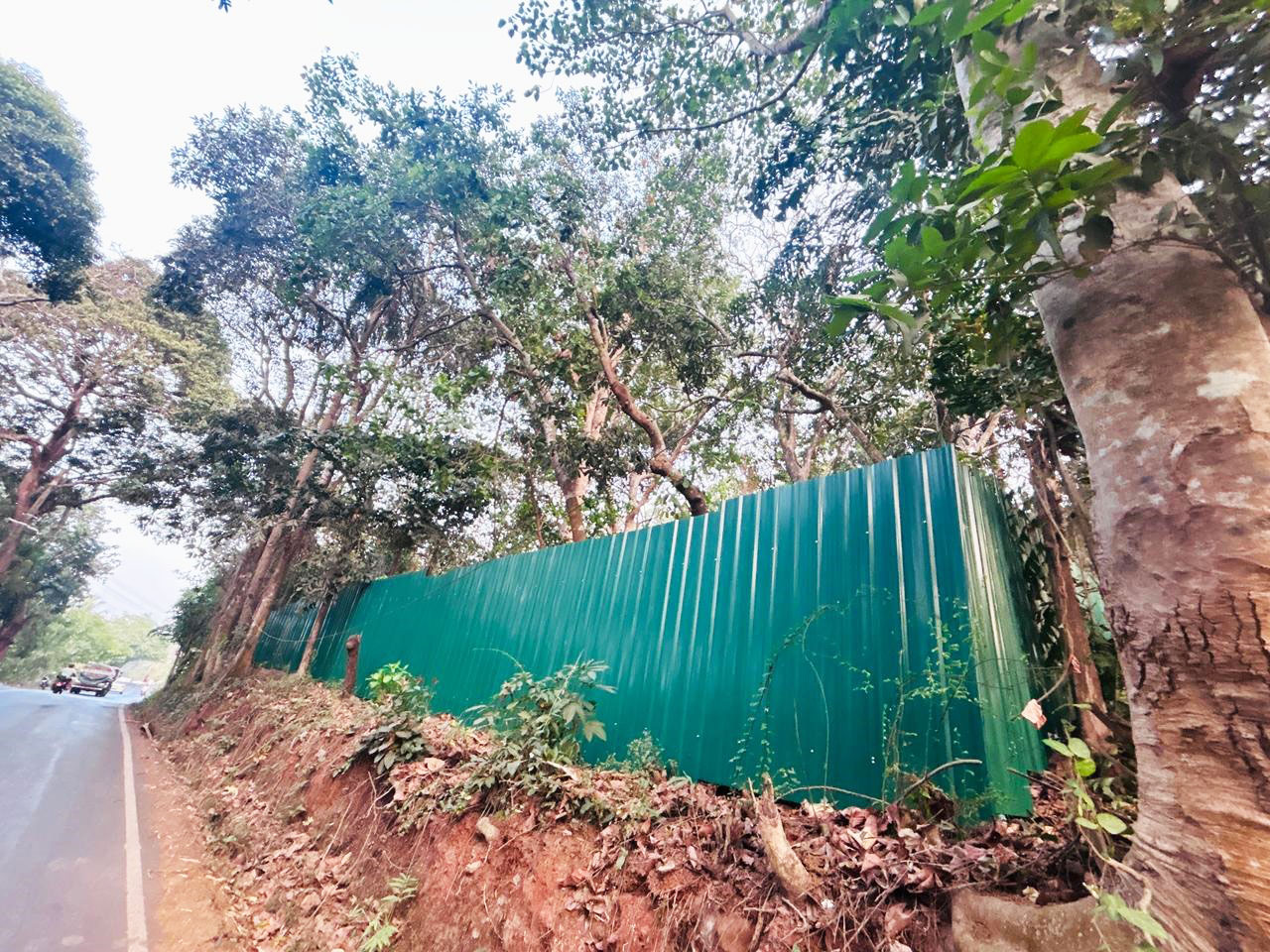 चलो… मार्ना-शिवोली !