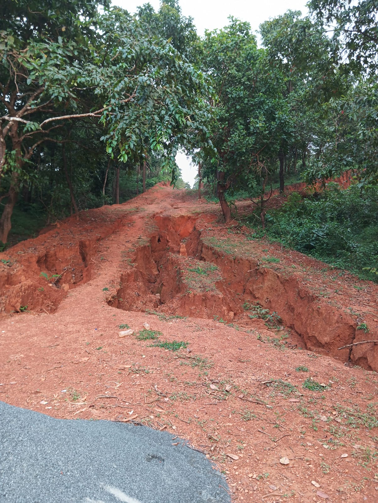 Bethora Land Fraud Case: TCP Middleman Arrested, Fake NOCs Used for Illegal Transactions