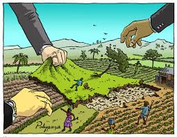 बेतोडा जमीन घोटाळ्याचा सूत्रधार कोण?