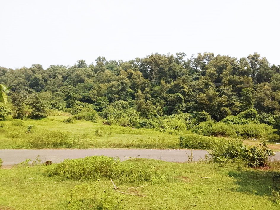 सुर्लाची जखम पुन्हा भळभळणार…